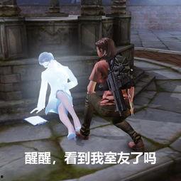 娱乐圈吃瓜游戏视频全集