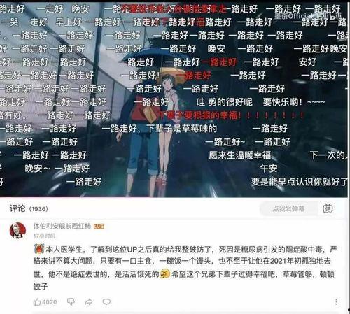 娱乐圈吃瓜游戏视频全集